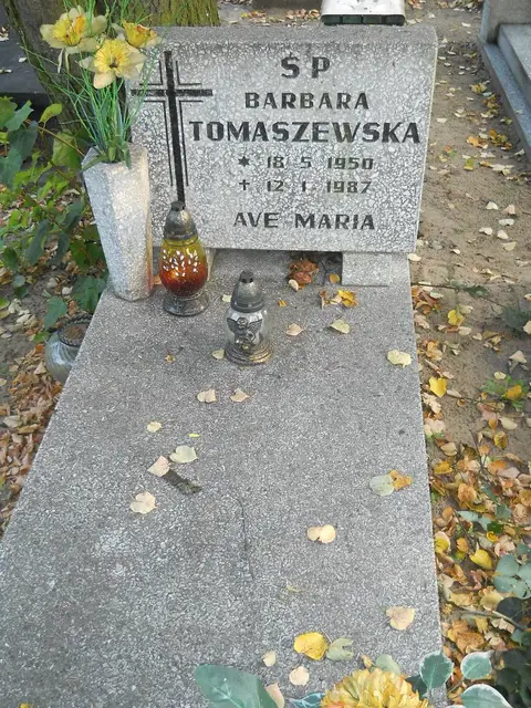 Zdjęcie grobu 15/26837