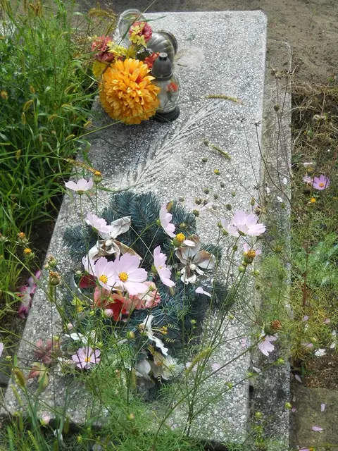 Zdjęcie grobu 16/26239