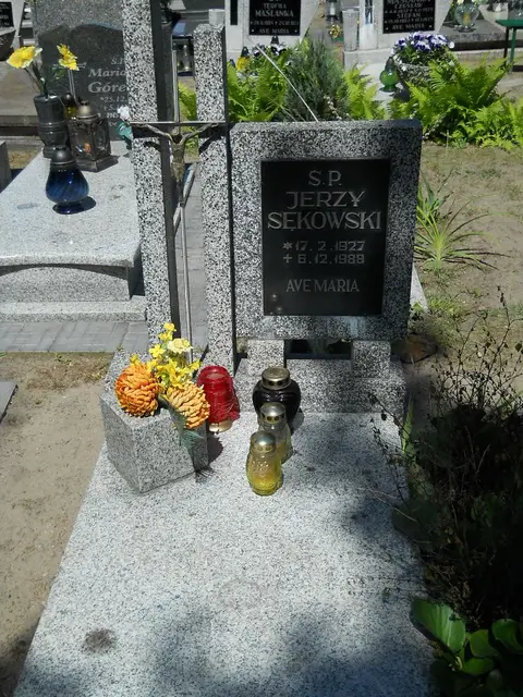 Zdjęcie grobu 8A/10207
