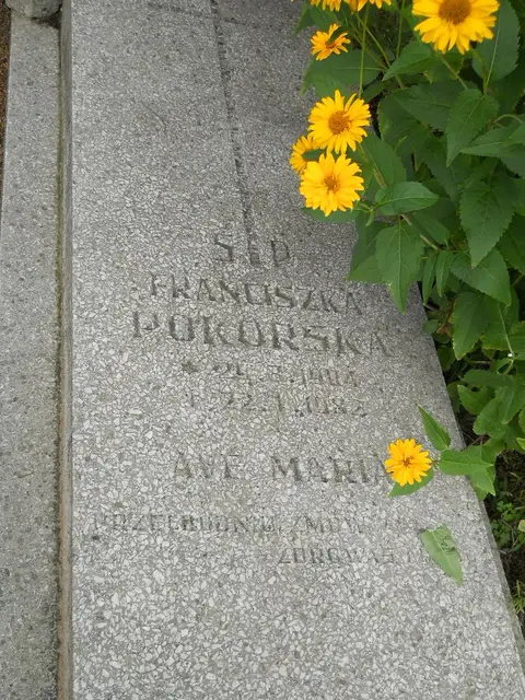 Zdjęcie grobu 22/23635