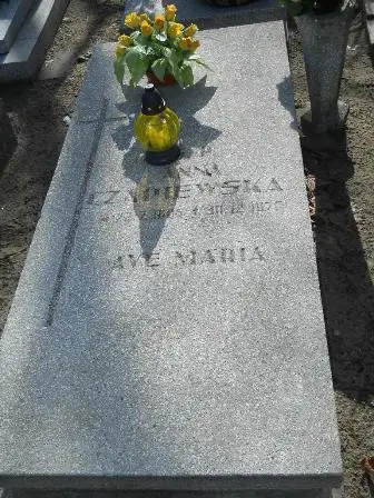 Zdjęcie grobu 8/78