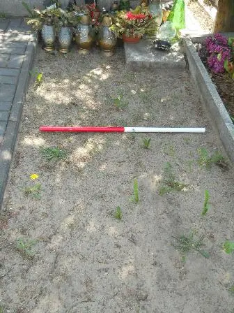 Zdjęcie grobu 28/100