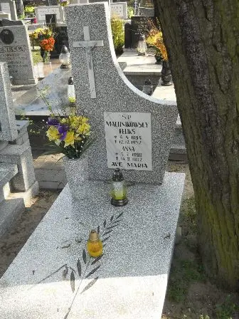 Zdjęcie grobu 9/315