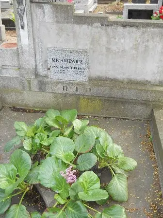 Zdjęcie grobu 33/100