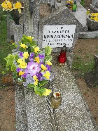 Zdjęcie grobu 36/215
