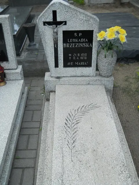 Zdjęcie grobu 7/11547