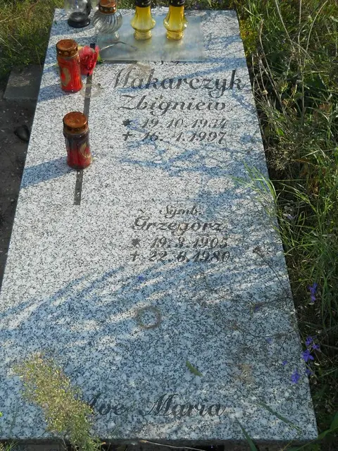 Zdjęcie grobu 14/27746