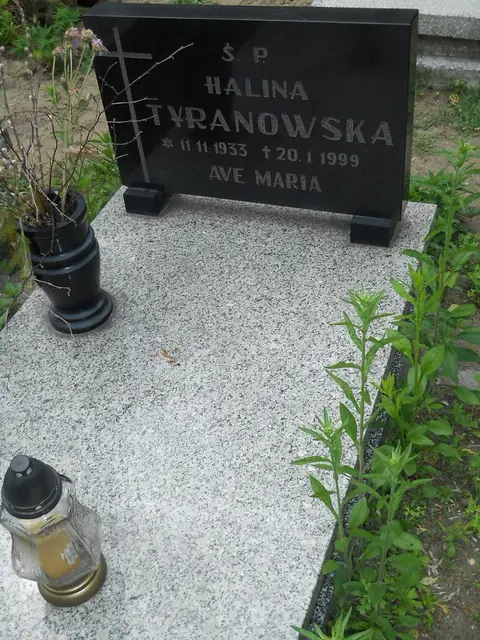 Zdjęcie grobu 7/10835