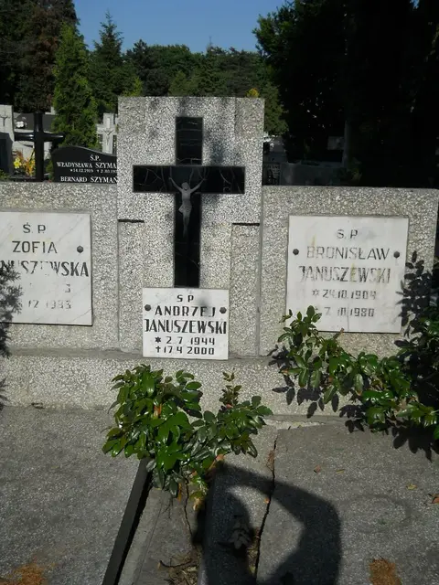 Zdjęcie grobu 7/12077