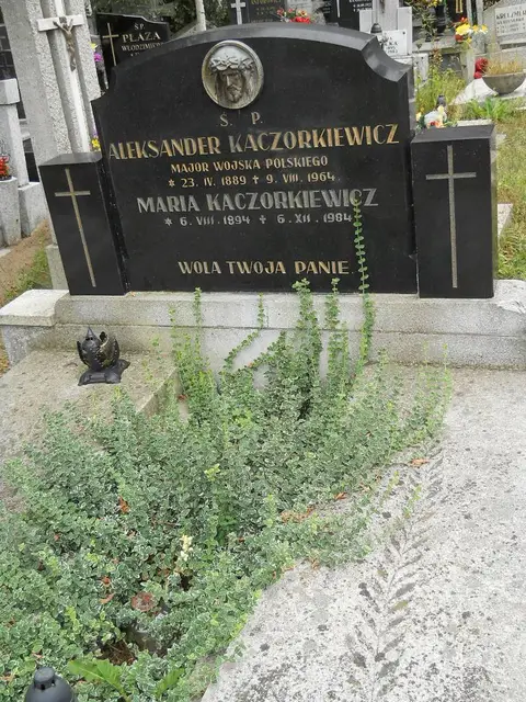 Zdjęcie grobu 12/29350