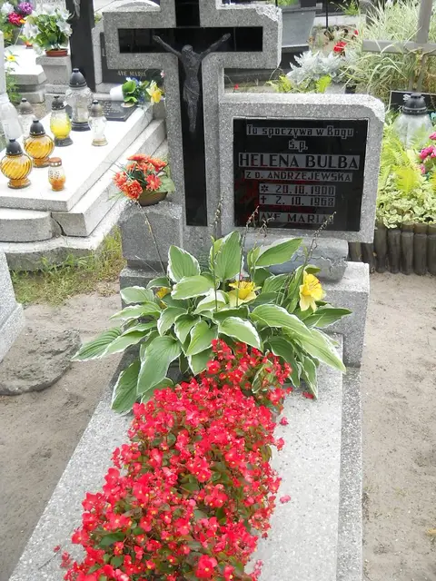 Zdjęcie grobu B/25168