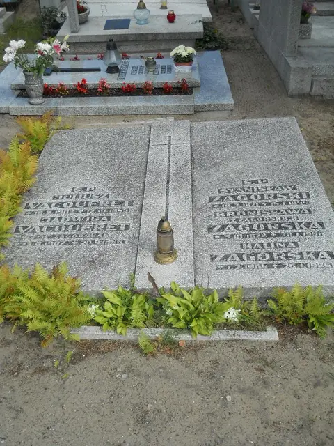Zdjęcie grobu 9/24123