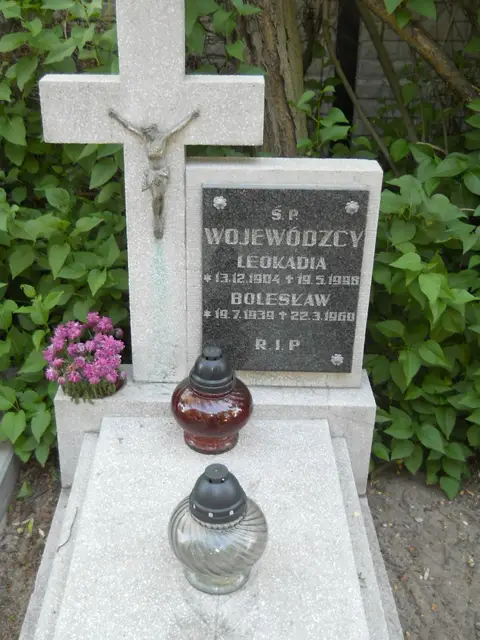 Zdjęcie grobu 13/12186
