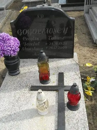 Zdjęcie grobu 9/144