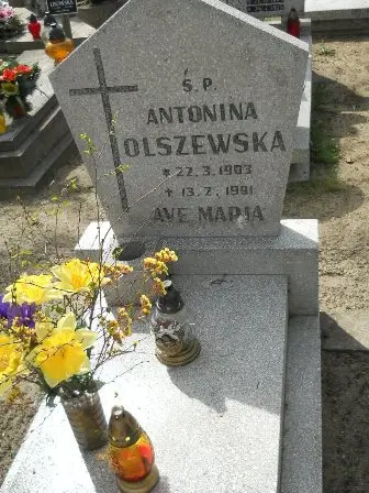 Zdjęcie grobu 27/117
