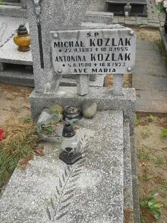 Zdjęcie grobu 40/100