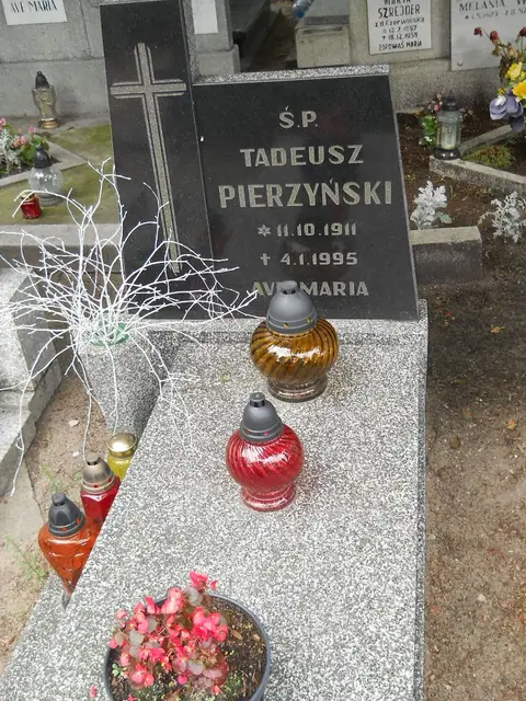 Zdjęcie grobu 12/29445