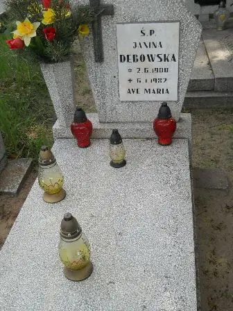 Zdjęcie grobu 26/329