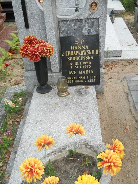 Zdjęcie grobu 14/26876