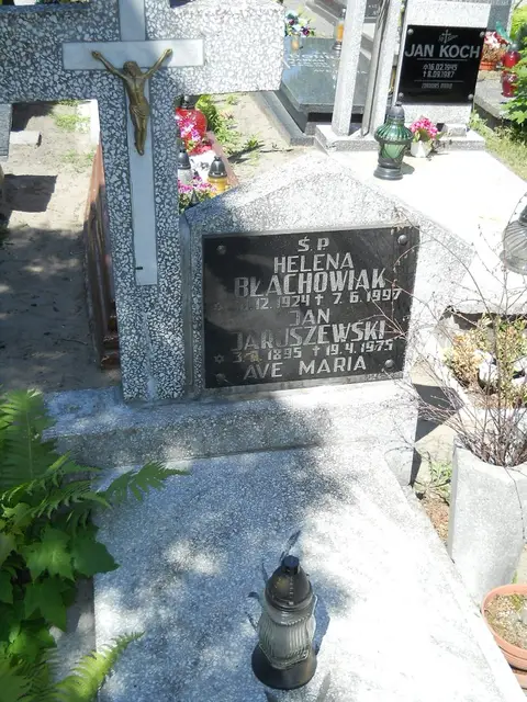 Zdjęcie grobu 8A/10267