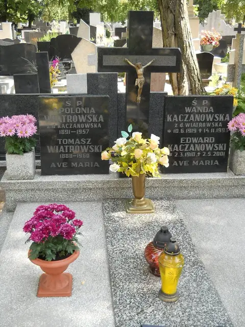 Zdjęcie grobu 6/24268