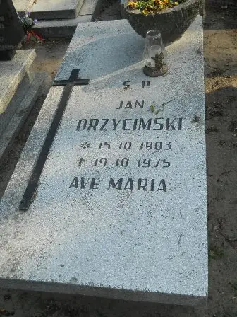 Zdjęcie grobu 9/100