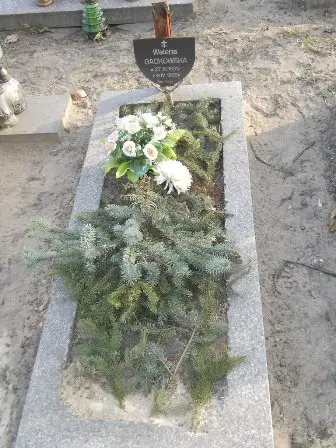 Zdjęcie grobu 10/114a