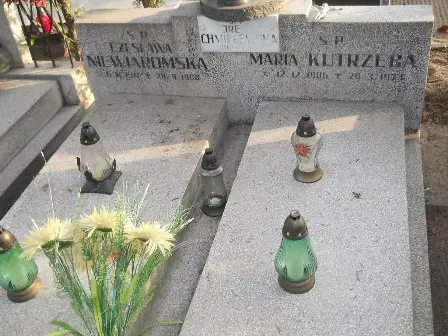 Zdjęcie grobu 10/161,162