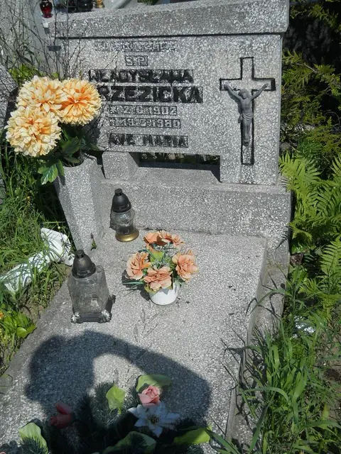 Zdjęcie grobu 7/11924