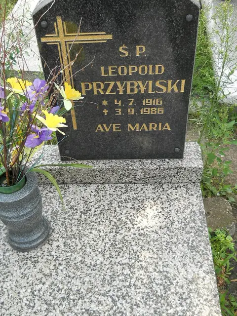 Zdjęcie grobu 27/22896
