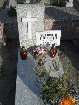 Zdjęcie grobu Dz/118