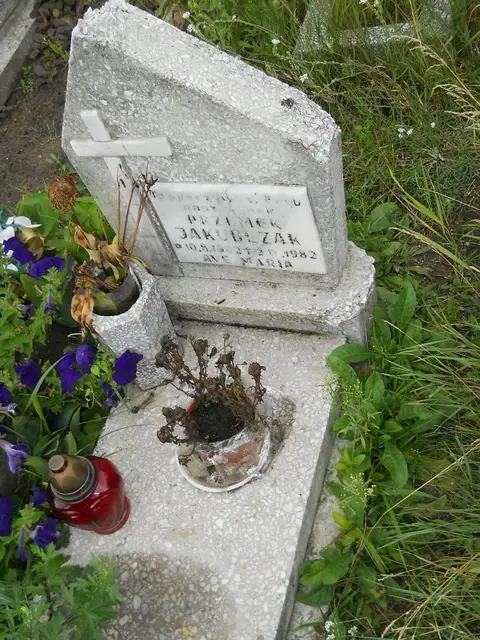 Zdjęcie grobu 21/23869
