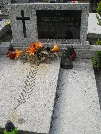 Zdjęcie grobu 38/100