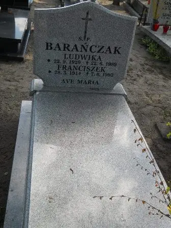 Zdjęcie grobu 46/8a