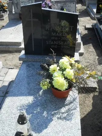Zdjęcie grobu 3/273