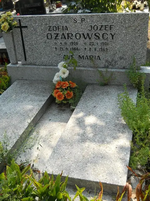 Zdjęcie grobu 18/28264