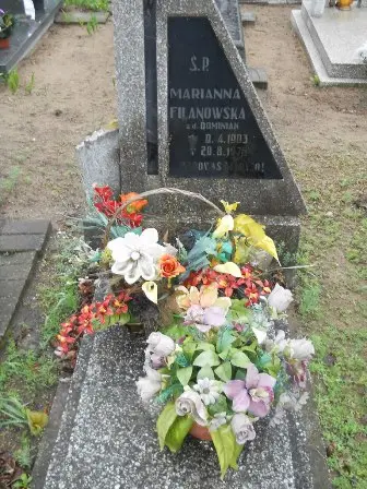 Zdjęcie grobu 36/100