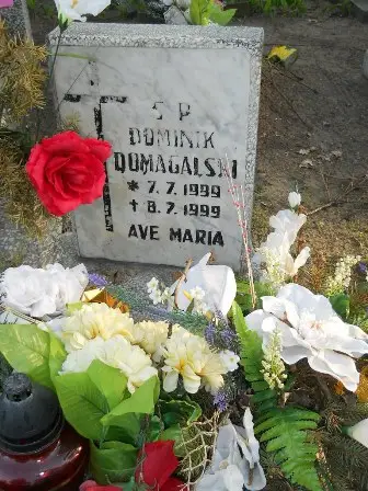 Zdjęcie grobu 7b/114