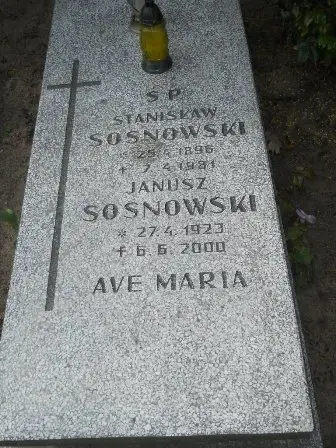 Zdjęcie grobu 38/7