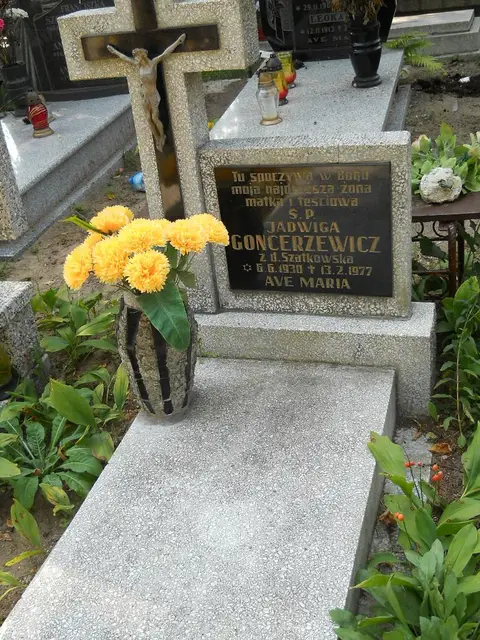 Zdjęcie grobu 19/28509