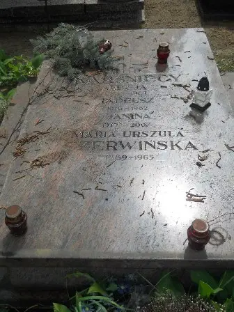 Zdjęcie grobu 32/100