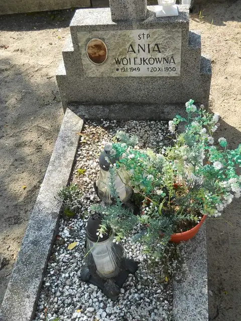 Zdjęcie grobu 14/27161