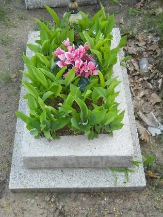 Zdjęcie grobu 7b/200