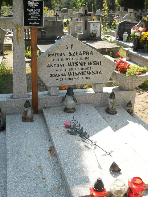 Zdjęcie grobu 14/27412