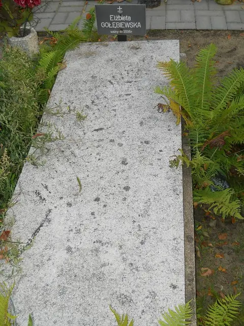 Zdjęcie grobu 14/26942