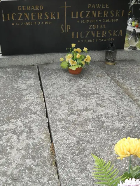 Zdjęcie grobu 8/10710