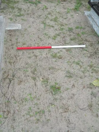 Zdjęcie grobu 22/100