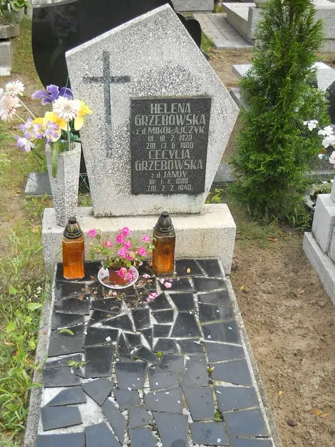 Zdjęcie grobu 14/27014