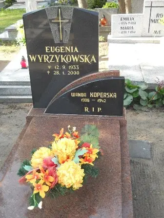 Zdjęcie grobu 20/87