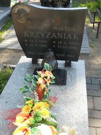 Zdjęcie grobu 46/100